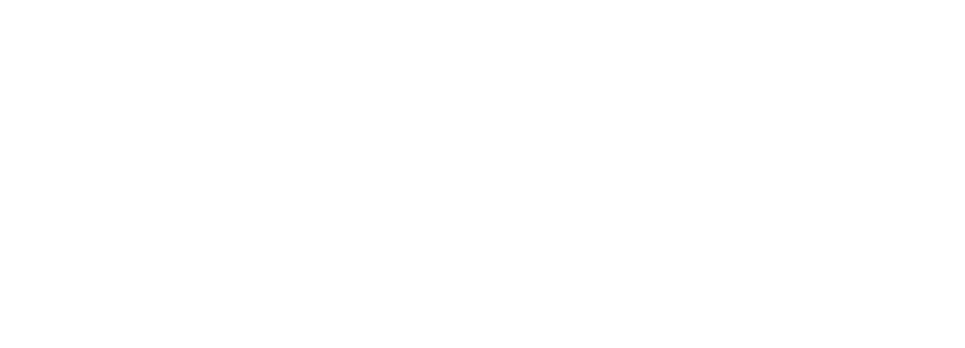 schlick engineering logo